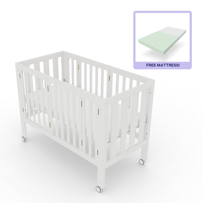 Dixie Folding Cot + ComfiCore bundle